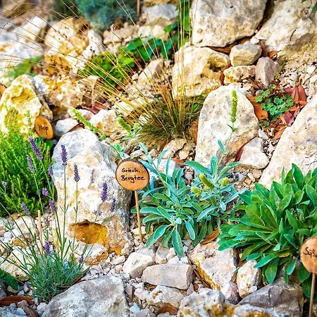 Отель Kur- Und Wellnesshotel Forch Бад-Верисхофен